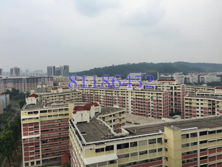 Blk 204 Choa Chu Kang Avenue 1 (Choa Chu Kang), HDB Executive #77508242